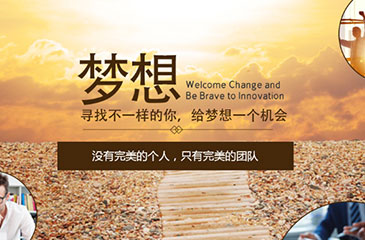 企業(yè)網站開發(fā)