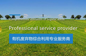 企業(yè)展示網站開發(fā)