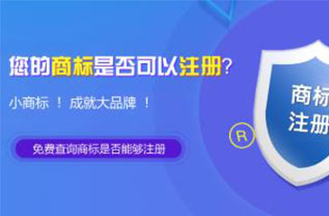 公司網站開發(fā)